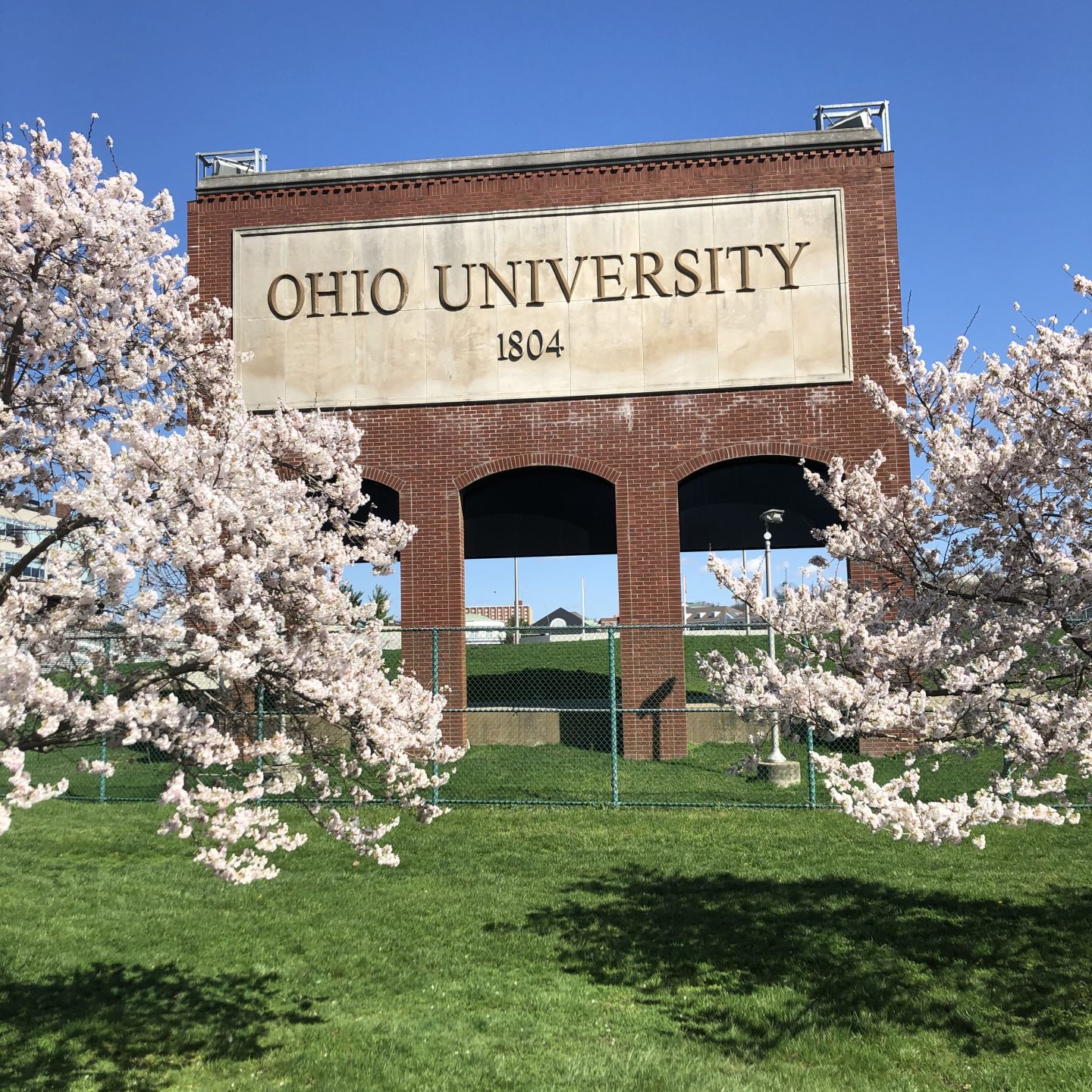 Spring blossoms along the Hocking